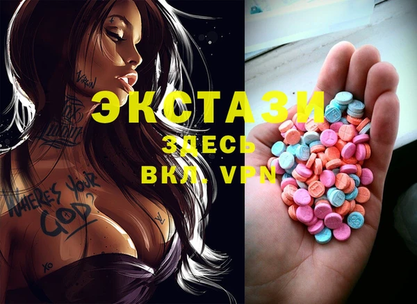 мдпв Каменка