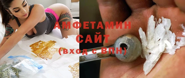 мдпв Каменка