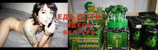 СК Каменногорск