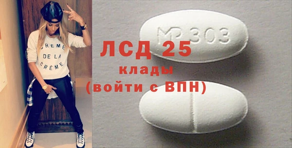 мдпв Каменка
