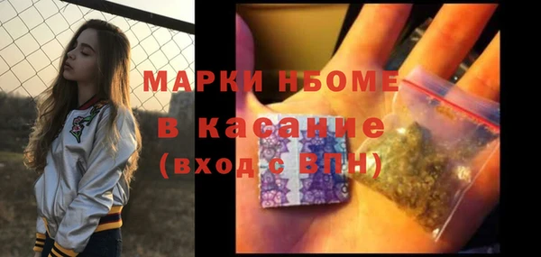 мдпв Каменка