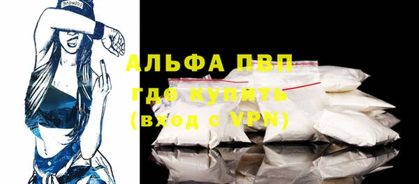 мдпв Каменка