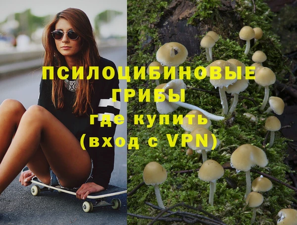 мдпв Каменка
