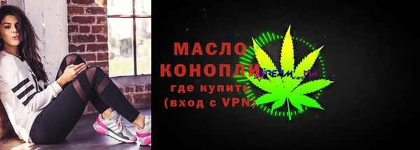 мдпв Каменка