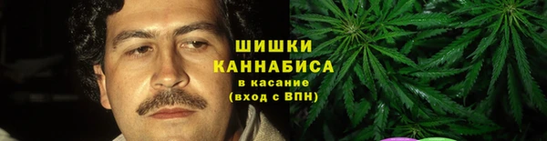 мдпв Каменка