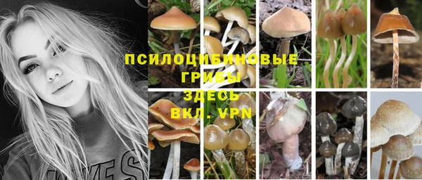ешки Каменск-Шахтинский