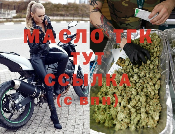 мдпв Каменка