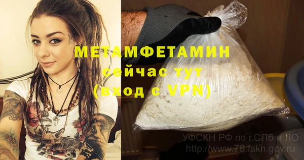 мдпв Каменка