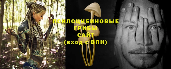 СК Каменногорск