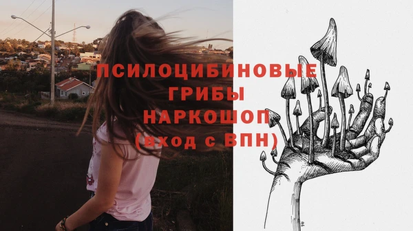 СК Каменногорск
