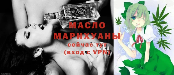 мдпв Каменка