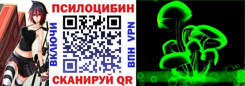 Галлюциногенные грибы GOLDEN TEACHER  Купить закладки  Пучеж 